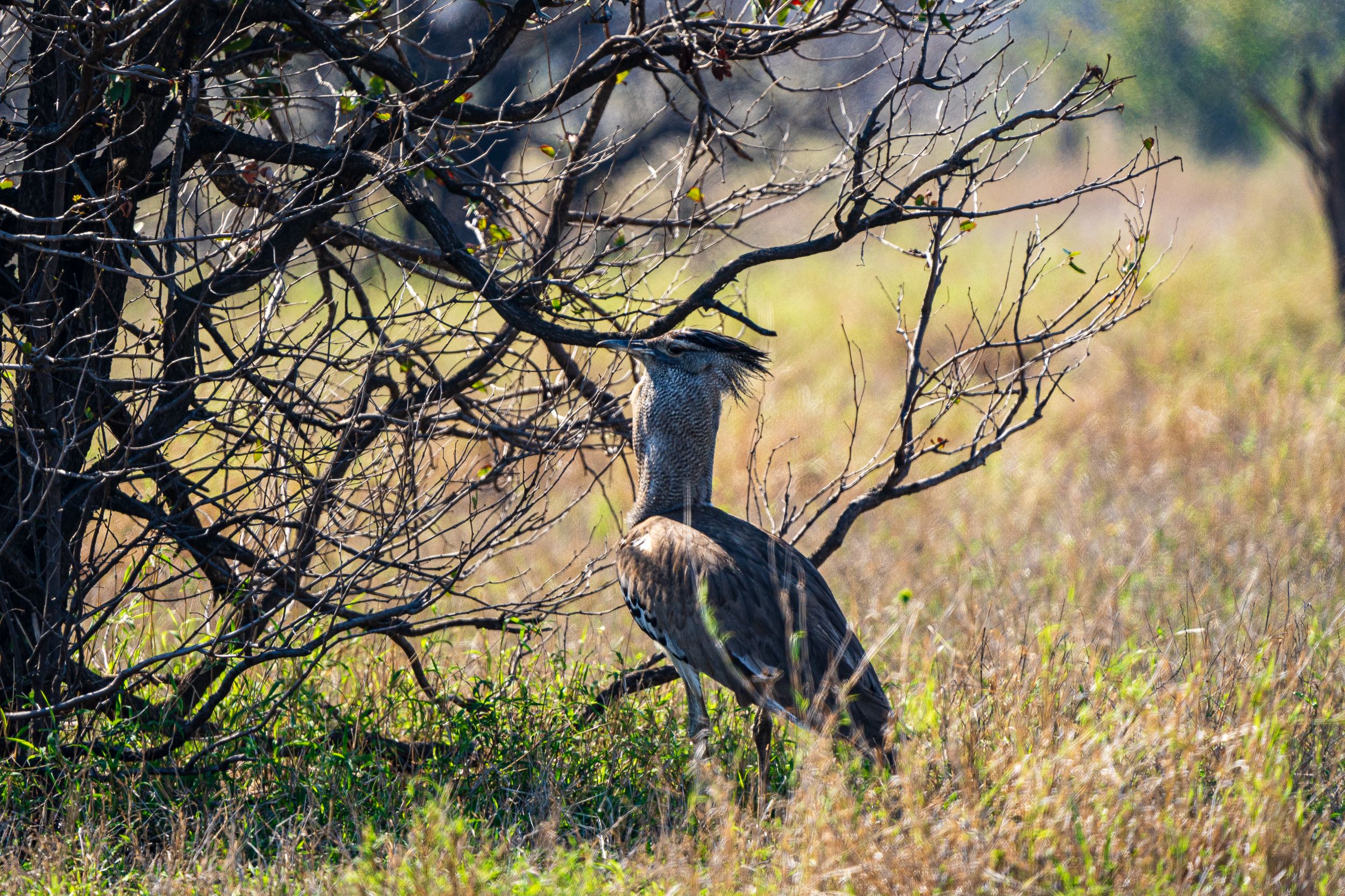 20231006 093729 Fotobuch Südafrika 04796